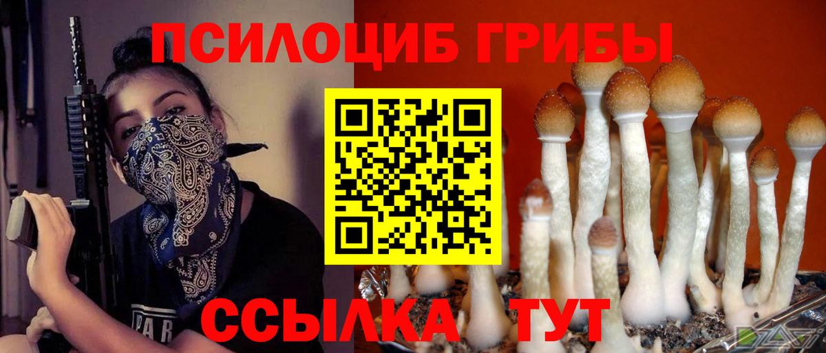 Шахты  Псилоцибиновые грибы GOLDEN TEACHER  Вход с VPN 